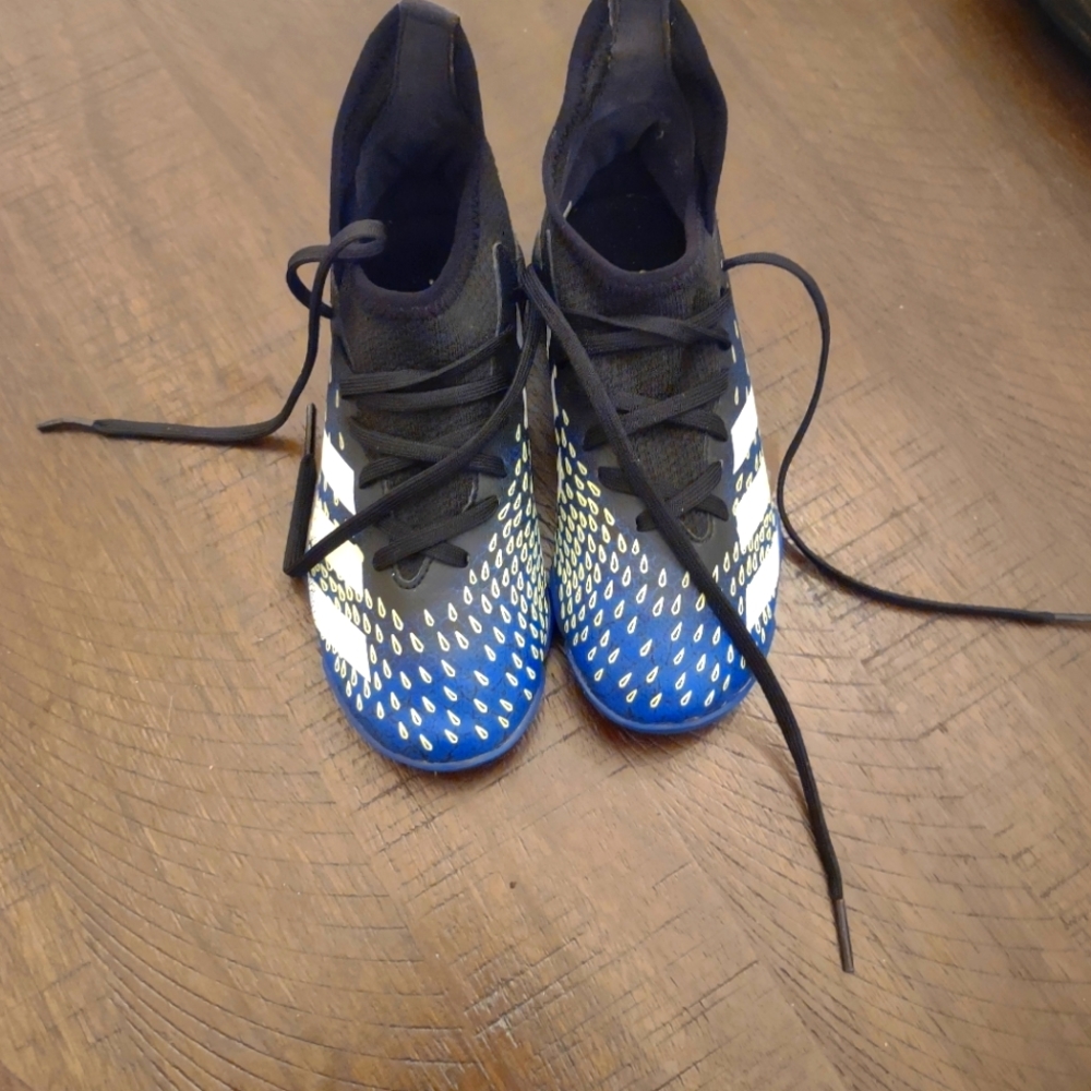 Addias 18.3 predators